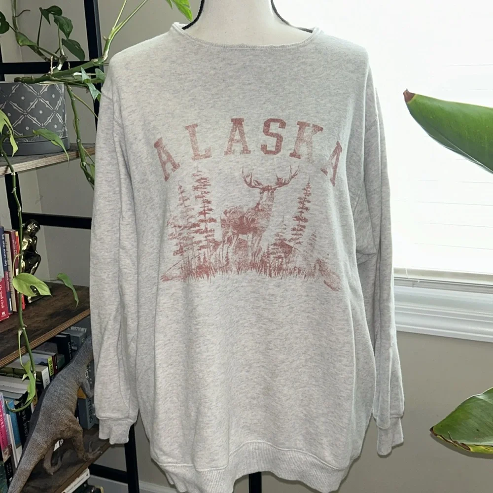 Aerie Alaska grey oversized crew neck sweatshirt - Picture 1 of 8
